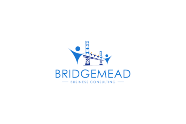 Relationship Manager at Bridgemead Consulting